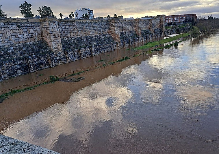 El Guadiana se desborda parcialmente en Mérida y anega parte del gran parque de la Isla